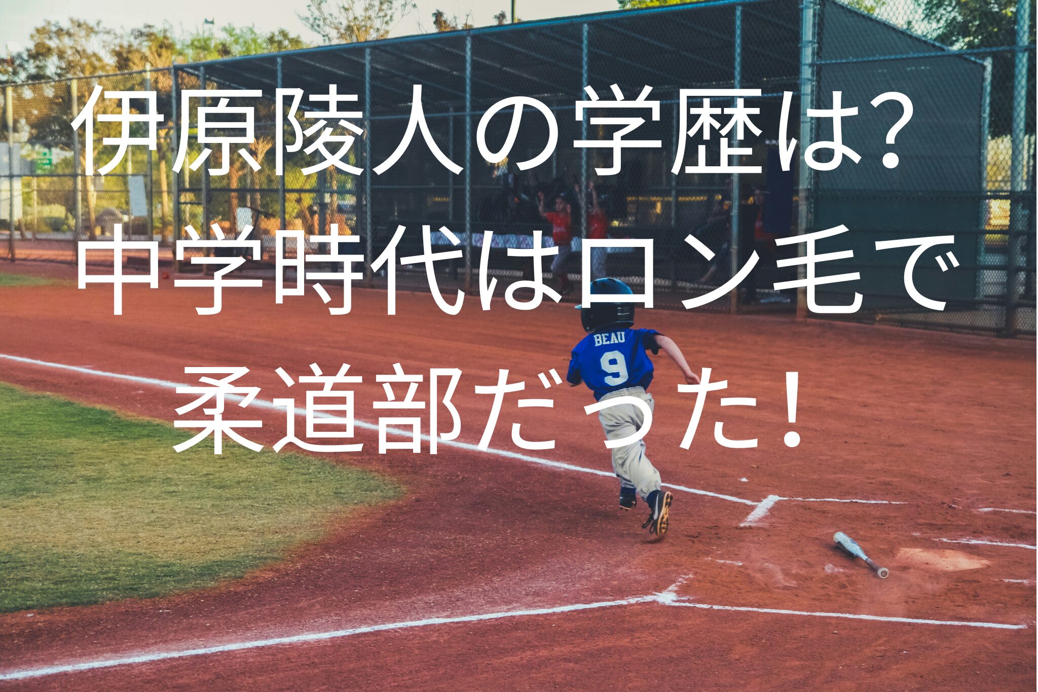 伊原陵人の学歴は？