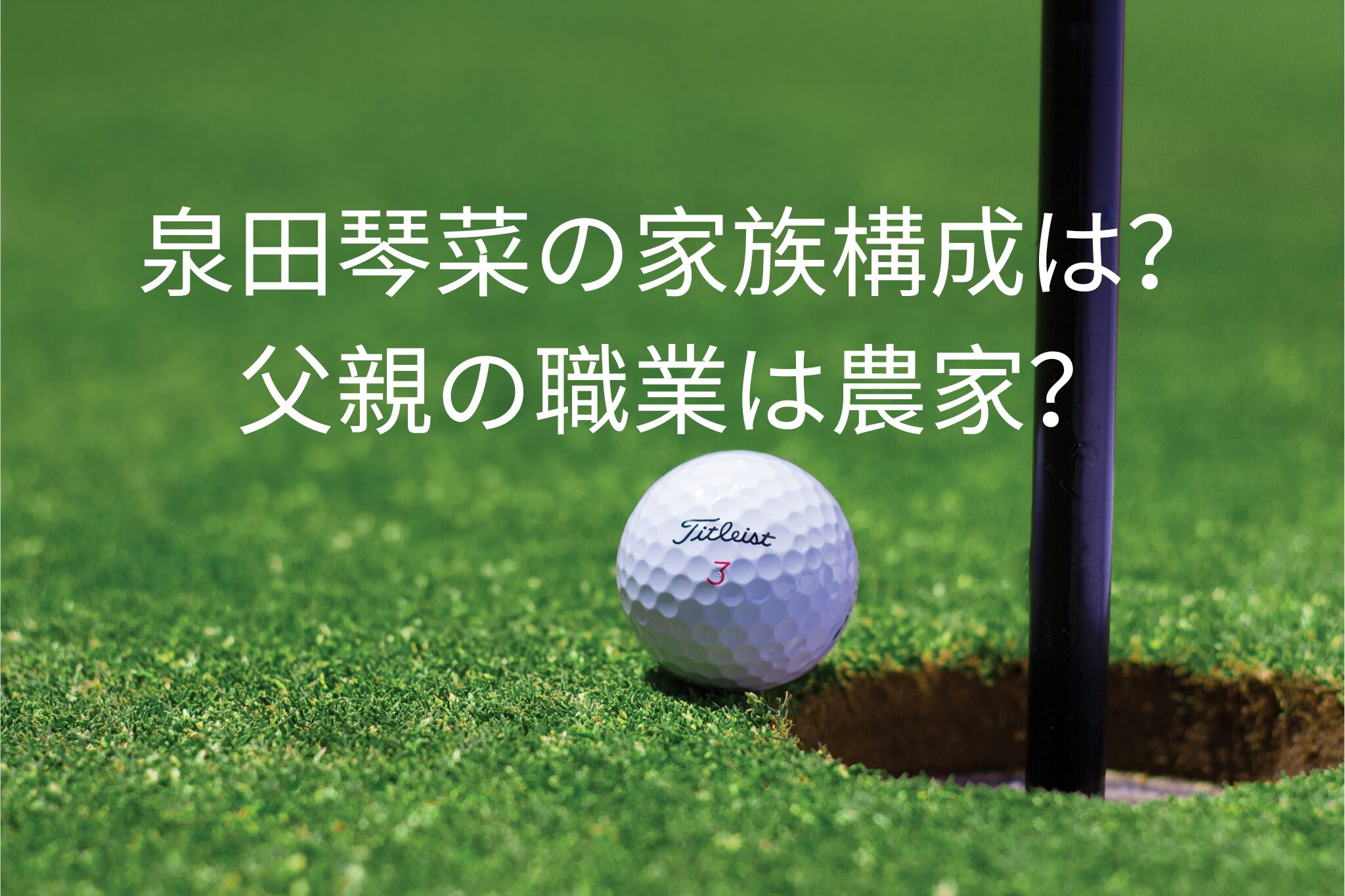 泉田琴菜の家族構成は？