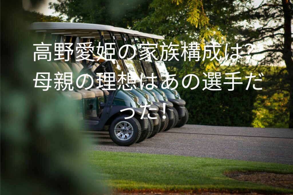 高野愛姫の家族構成は？