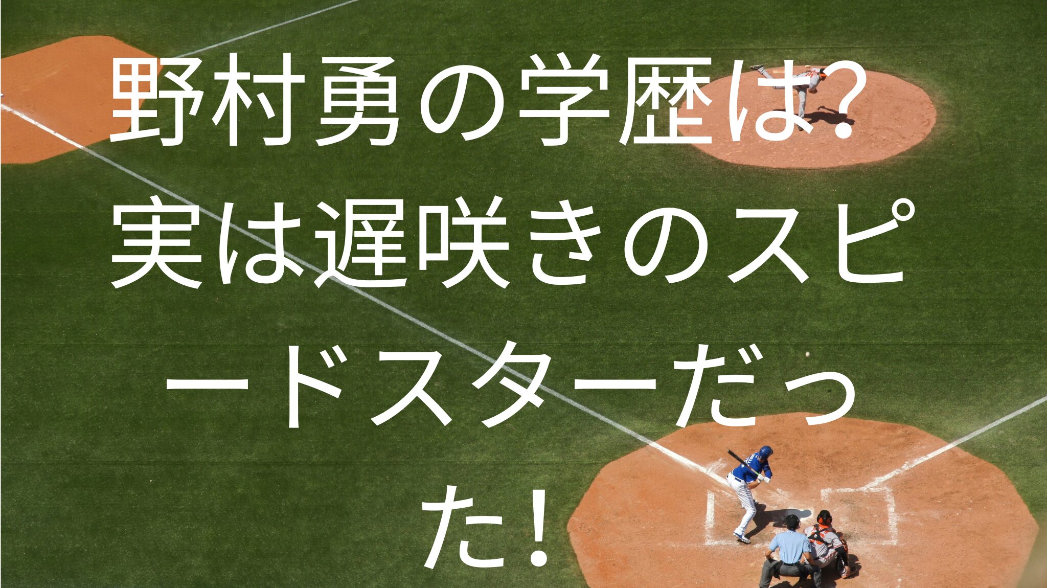 野村勇の学歴は？