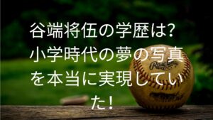 谷端将伍の学歴は？