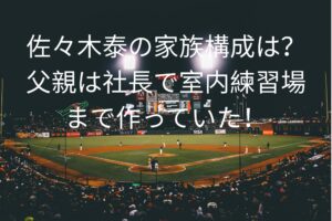 佐々木泰の家族構成は？