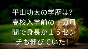 平山功太の学歴は？