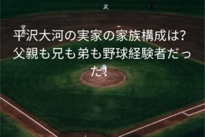平沢大河の実家の家族構成は？
