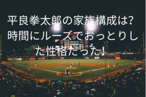 平良拳太郎の家族構成は？