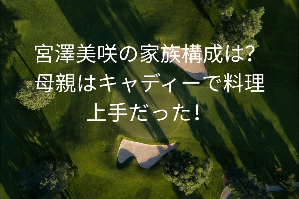 宮澤美咲の家族構成は？