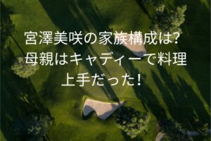 宮澤美咲の家族構成は？