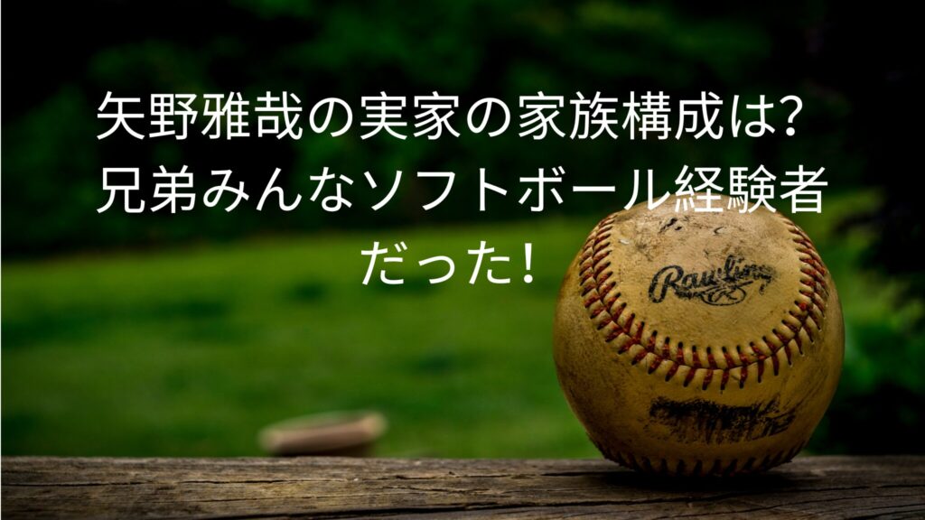 矢野雅哉の実家の家族構成は？