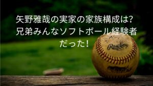 矢野雅哉の実家の家族構成は？