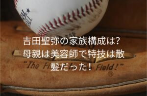 吉田聖弥の家族構成は？