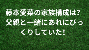 藤本愛菜の家族構成は？